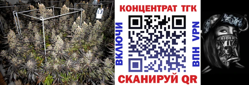 Купить где  Топки  Дистиллят ТГК концентрат 