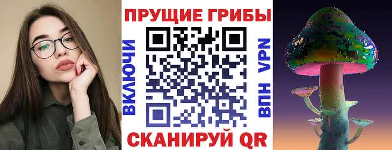 Псилоцибиновые грибы Cubensis  Купить где  Топки 